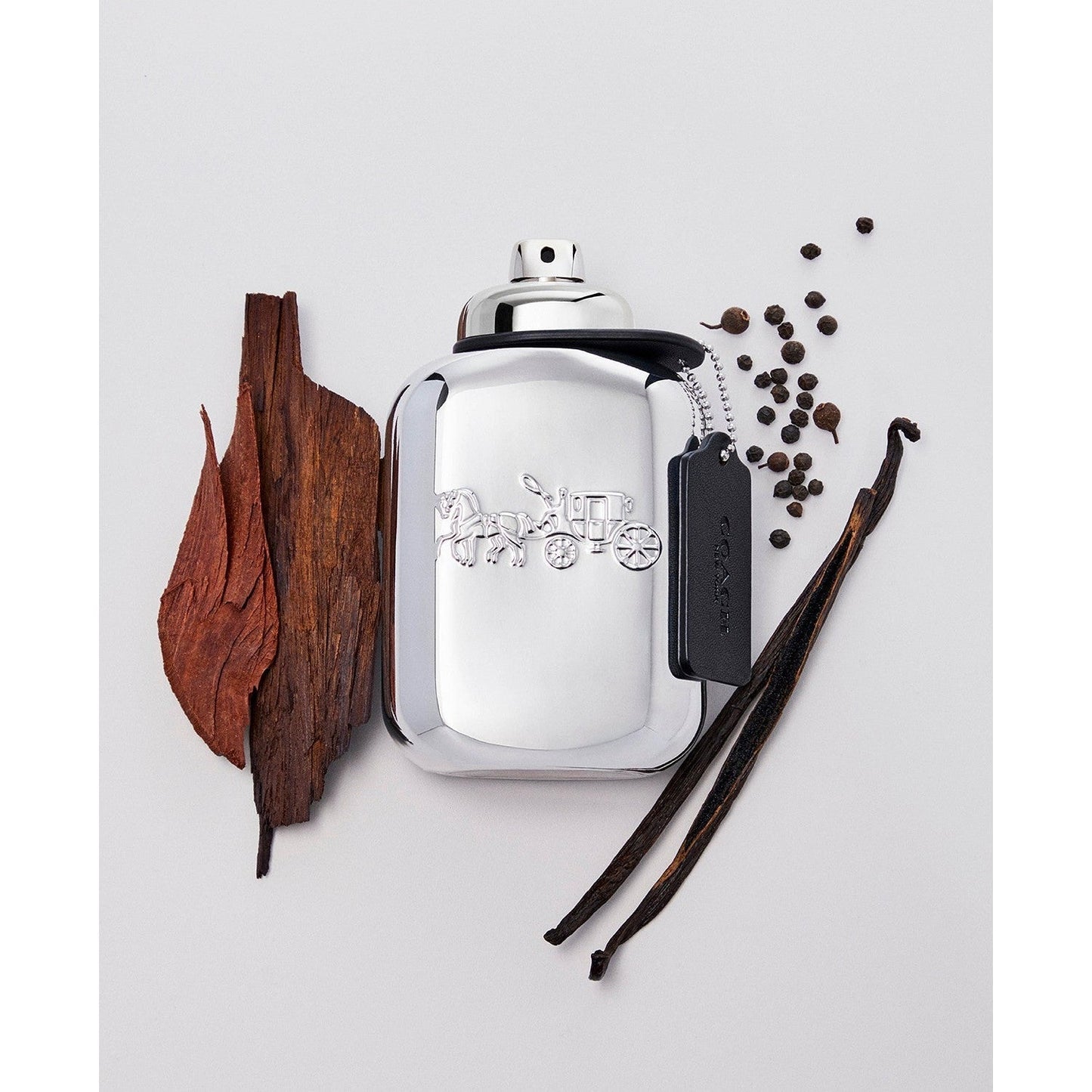 COACH - New York Platinum Eau de Parfum, 3.3 oz