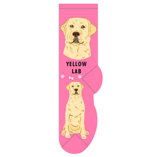 Yellow Lab